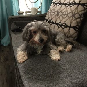 Meet your Posher, Maureen